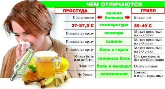 Амиксин: применение при гриппе и простуде