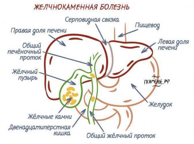 Боль под левой лопаткой сзади со спины: причины жжения, почему болит слева