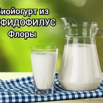 Самые лучшие продукты-пробиотики для кишечника