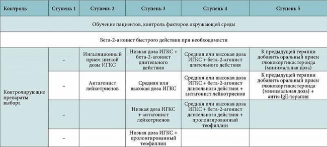 Классификация ингаляторов от астмы, принцип их действия и правила применения
