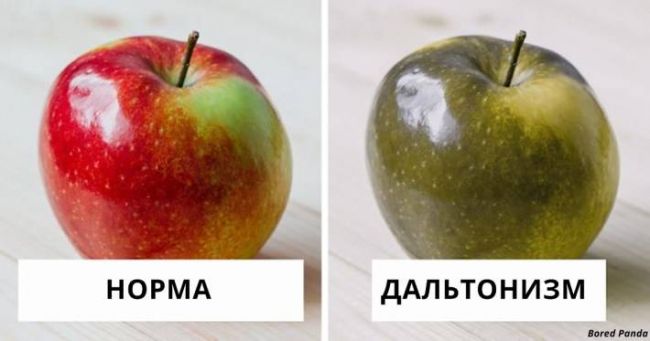 Дальтонизм: виды, причины, симптомы, лечение — симптомы