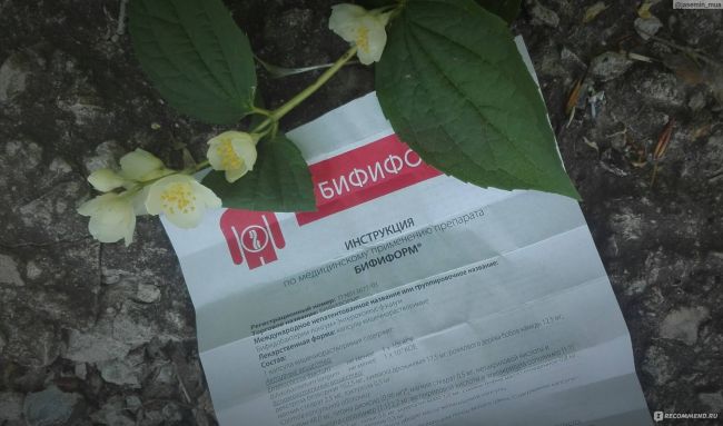 Бифидобактерии для кишечника и их полезные свойства | women planet