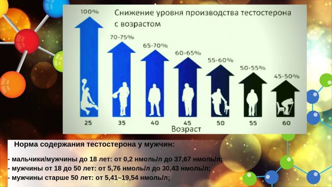 Мужской гормон тестостерон… а только ли мужской? значение тестостерона для здоровья костной системы