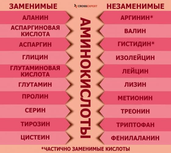 Аминокислоты