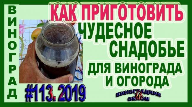 Iii международный конкурс научно-исследовательских и творческих работ учащихся
старт в науке