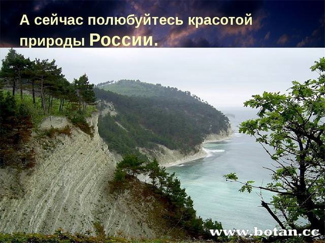 Царства живой природы бактерии очень малы. тело их состоит из одной клетки. бактерии – представители одноклеточных организмов. клетка бактерии не имеет. - презентация