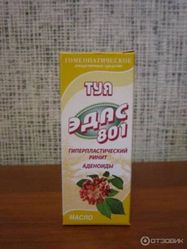 Эдас 801? - эдас 801 отзывы детям при аденоидах - запись пользователя алевтинка (kisun-murun) в сообществе здоровье - от трех до шести лет в категории лор (отит, насморк и проч) - babyblog.ru