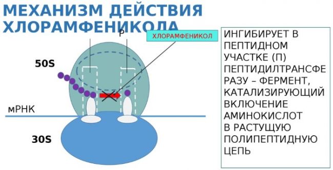 Аналог свечей синтомицин