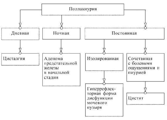 Минутный диурез норма
