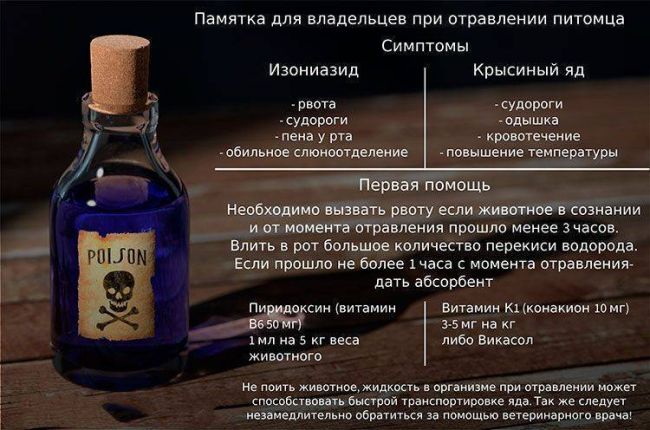 Цистофан для кошек инструкция по применению