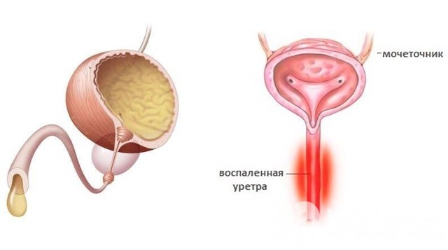 Инструкция по применению бада сустанорм