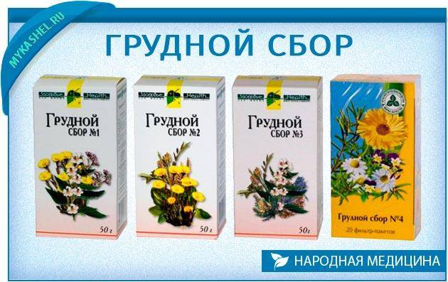 Грудной сбор №1, №2, №3, №4 – состав и важные правила применения
