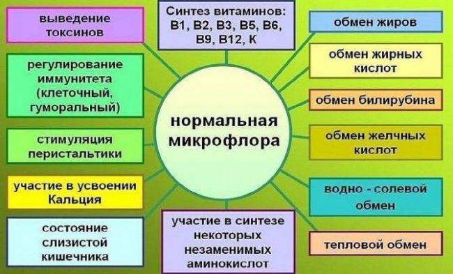 Секрет избавления от хронического неприятного запаха изо рта