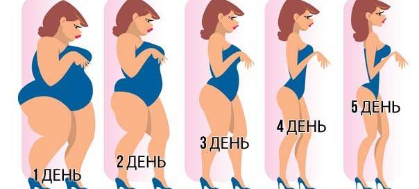 Семь лепестков диета для похудения отзывы