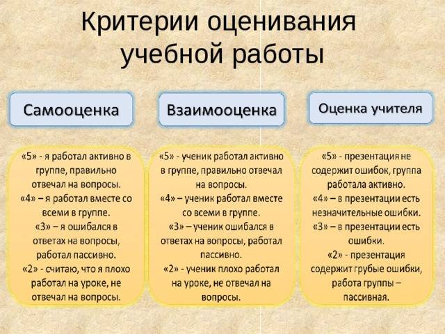 Роль бактерий в изготовлении кисломолочных продуктов