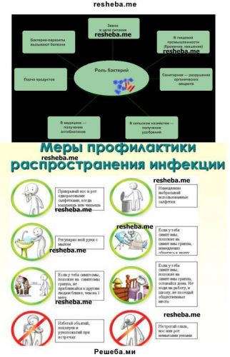 Домашний йогурт без йогуртницы: 5 простых рецептов