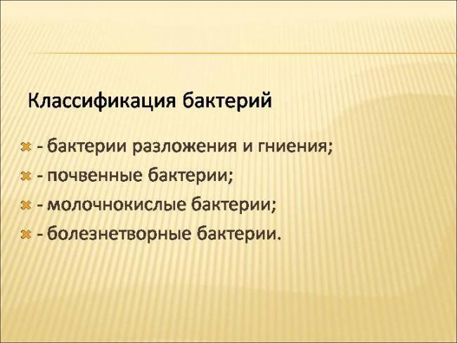Как и чем питаются различные бактерии