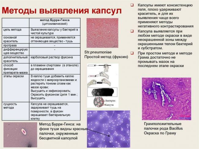 Карта сайта