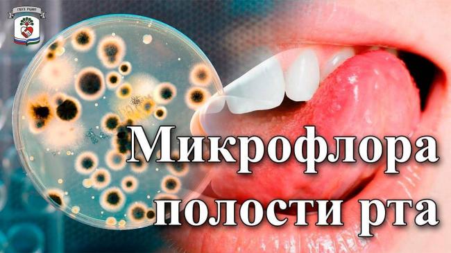 Секрет избавления от хронического неприятного запаха изо рта