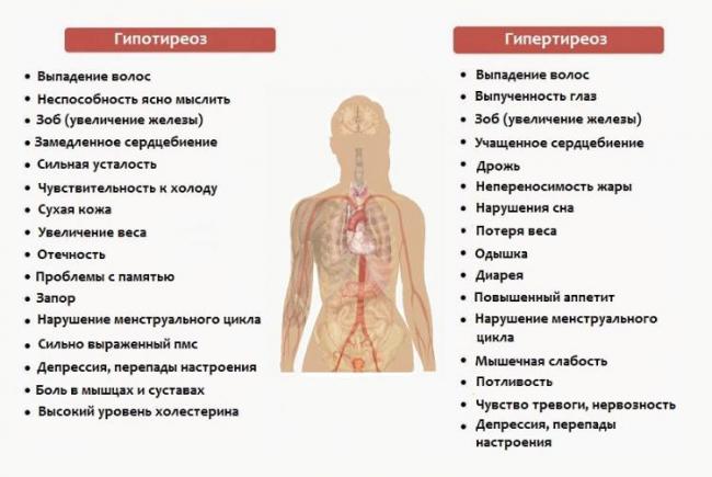 Сколько стоит вылечить щитовидную железу
