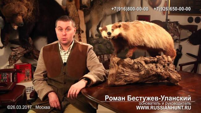 Барсучий жир — лечебные свойства и противопоказания для взрослых и детей. применение при заболеваниях и в косметологии для волос и кожи