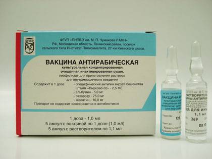 Можно ли после прививки пить алкоголь?