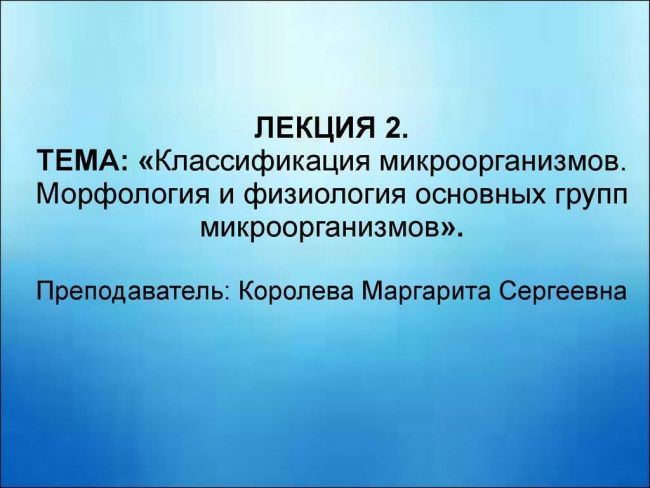 Одноклеточные организмы — список с названиями и примерами