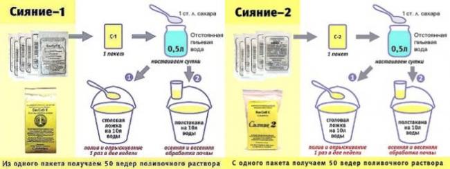 Сколько Сияния вам понадобится на сезон