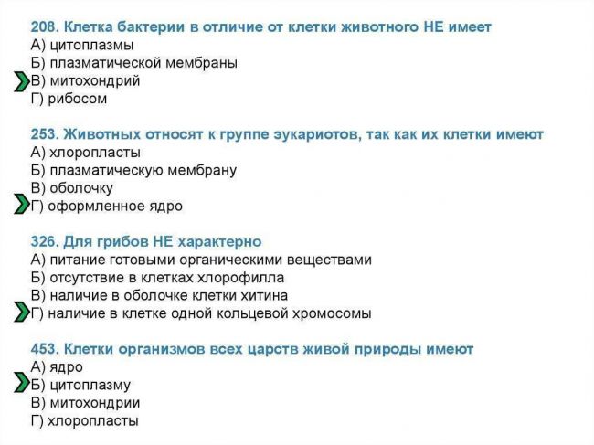 Почему бактерии относят к примитивной форме жизни и чем они отличаются от растений других организмов?