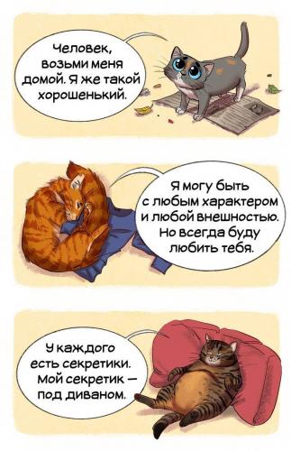 Механизм и виды мышечных сокращений