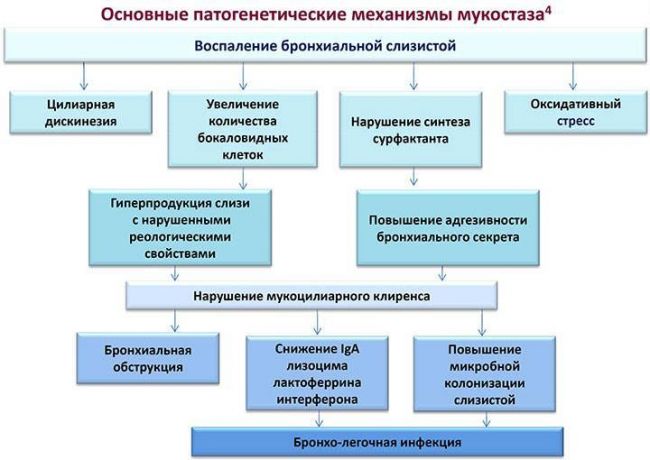 Как вылечить хронический кашель