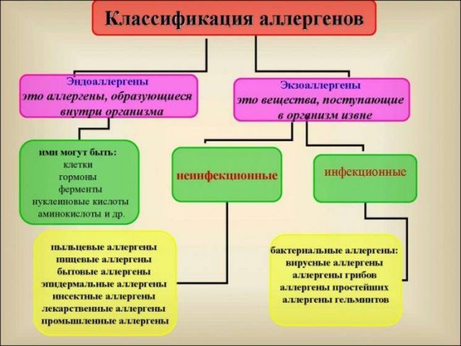 Инфекционные заболевания – причина вирусной аллергии