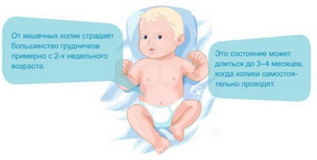 Чай плантекс для новорожденных