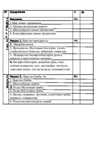 Царство бактерий