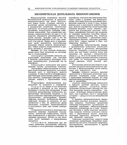 Как и чем питаются различные бактерии