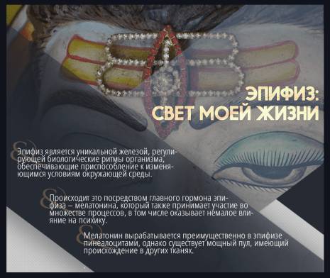 Антагонист мелатонина
