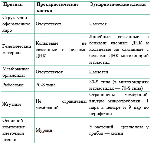 Бактерии, грибы, водоросли и простейшие животные имеют много общего, что является еще одним доказательством эволюции