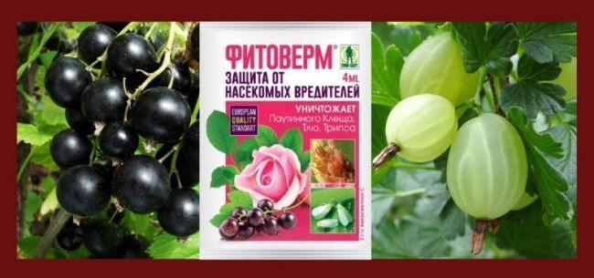 Фитоверм