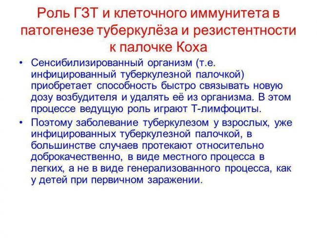 Бактерия – возбудитель туберкулеза: специфика и патогенез