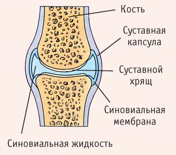 Обзор действенных аналогов лекарства драстоп