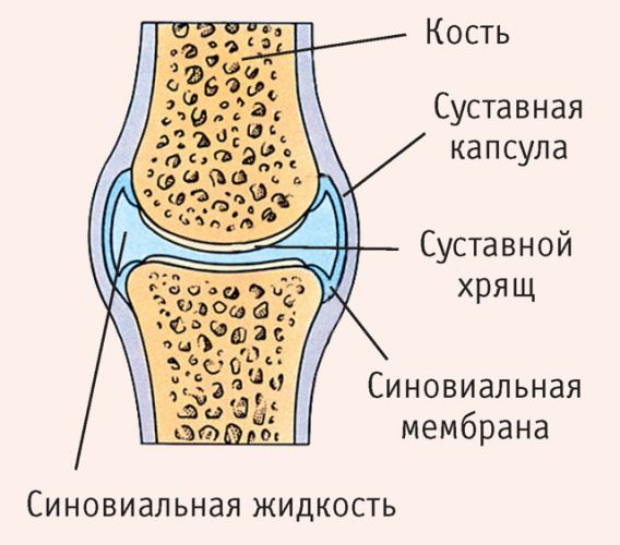 Драстоп: инструкция по применению и для чего он нужен, цена, отзывы, аналоги