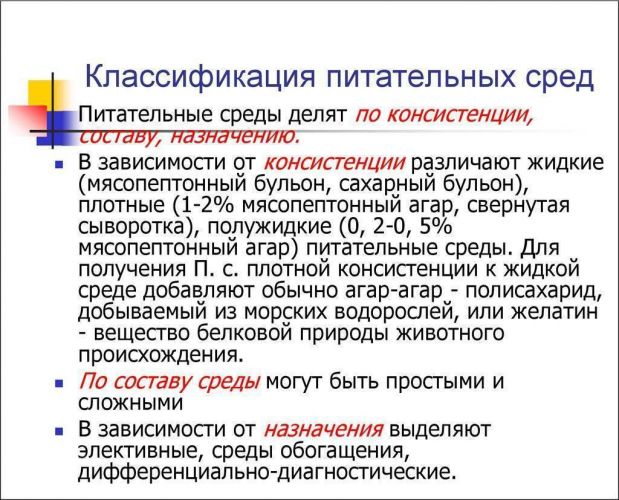 Главные принципы и особенности посева бактерий