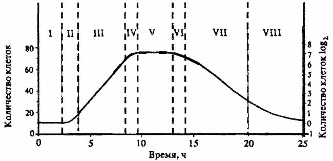 Опасная микрофлора рядом: множество способов размножения патогенных микроорганизмов
