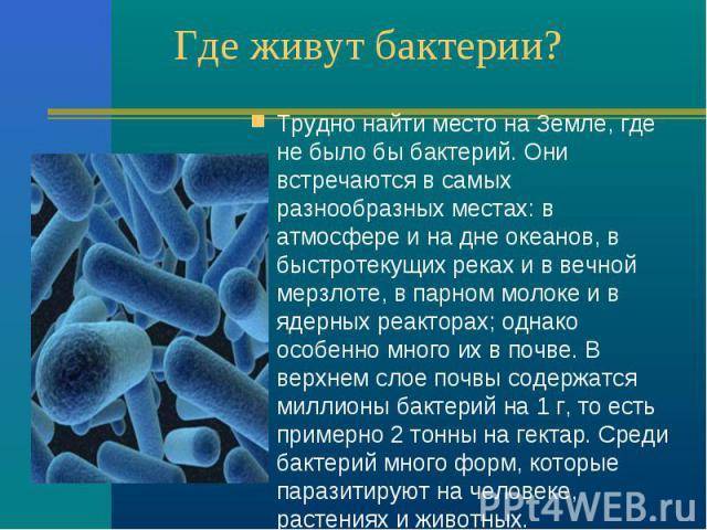 Живые организмы