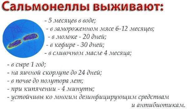 Что нельзя есть после прививки манту ребенку и можно ли сладкое или шоколад