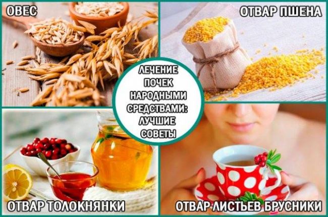 Лечение почек народными средствами в домашних условиях. как лечить почки на дому