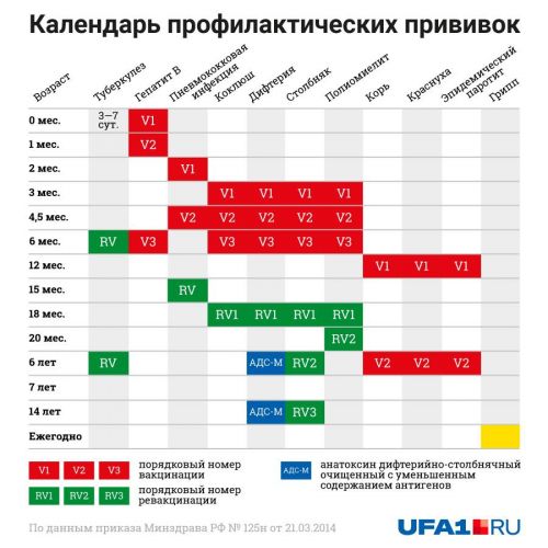 Какие прививки делают детям до года