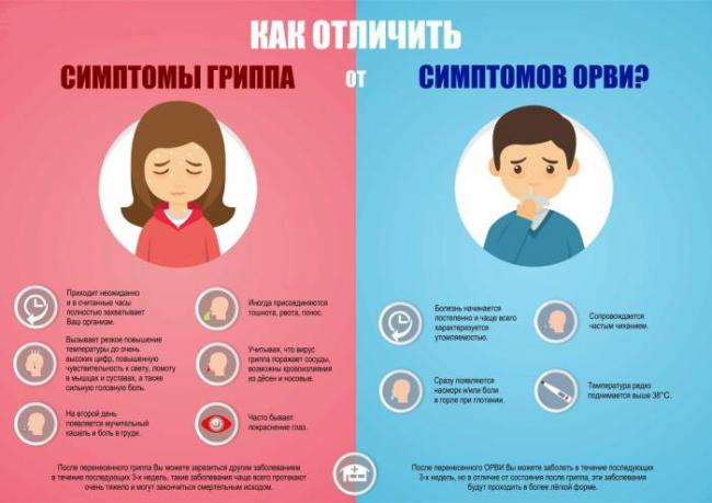 Медики рассказали, как быстро отличить простуду от гриппа