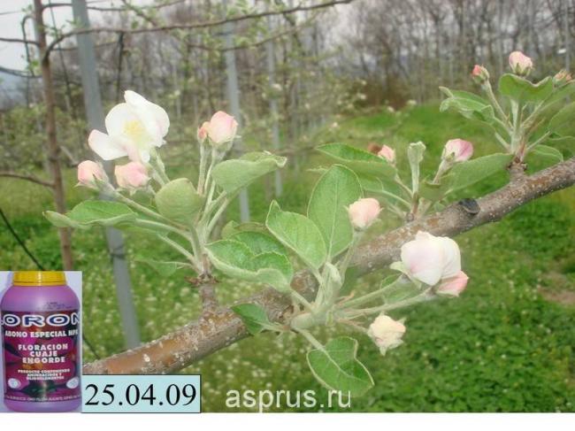 Введите код, указанный на картинке