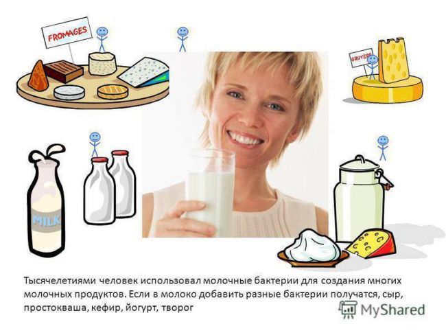 Презентация по окружающему миру на тему " царство живой природы. бактерии" ( 2 класс)